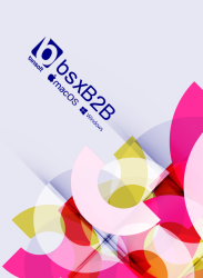 bsxB2B - System sprzedażowy B2B
